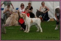 26-05-12 M GoodAsGold_IMG_4671